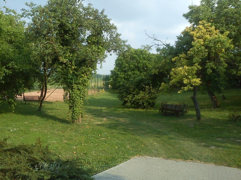 Hotel Borostyankert Etterem & Vendeghaz Sitke Exterior foto